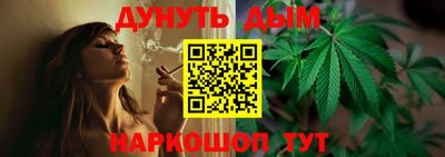 дмт Новокубанск