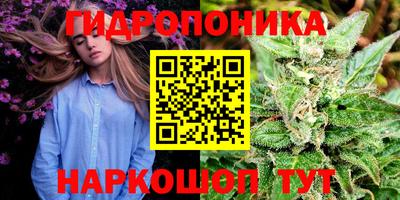 jwh Новозыбков