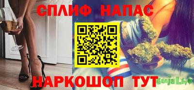jwh Новозыбков