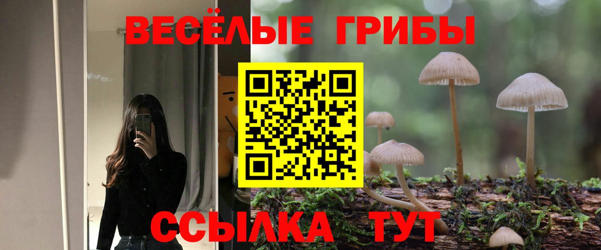 хочу   Вход с VPN  Саянск  Галлюциногенные грибы MAGIC MUSHROOMS 